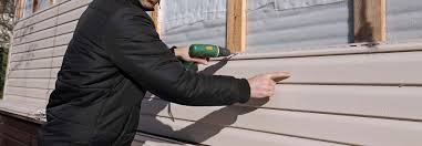 Best Siding for New Construction  in Weldon, CA